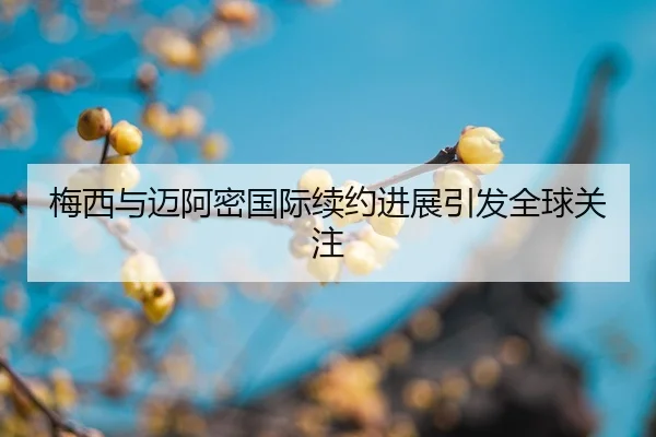 mei-xi-yu-mai-a-mi-guo-ji-xu-yue-jin-zhan-yin-fa-quan-qiu-guan-zhu-2-913.jpg
